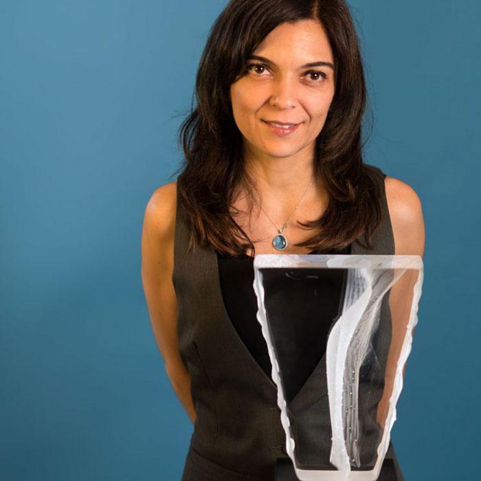 anna alsina bardagi glass artist